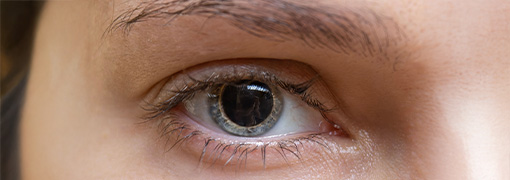 Examen de dilatation